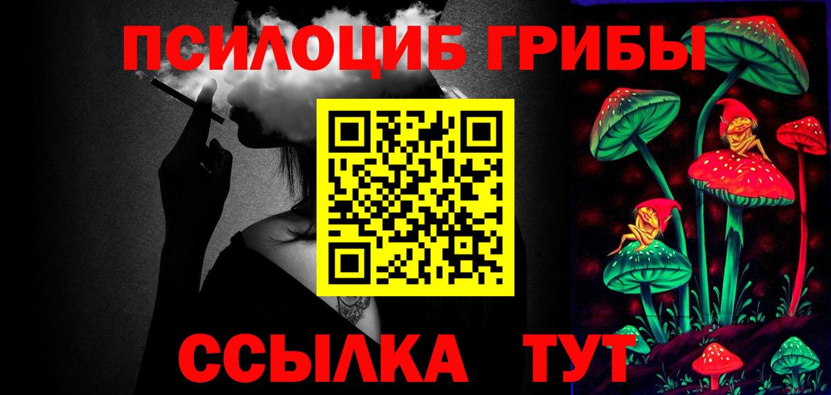 Псилоцибиновые грибы Psilocybe Будённовск