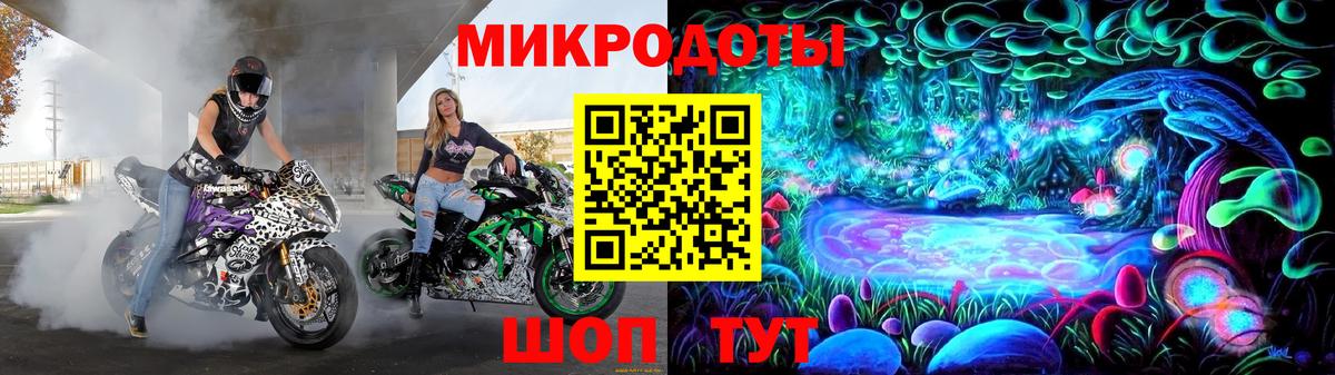 Галлюциногенные грибы Cubensis  Вход с VPN  Будённовск 